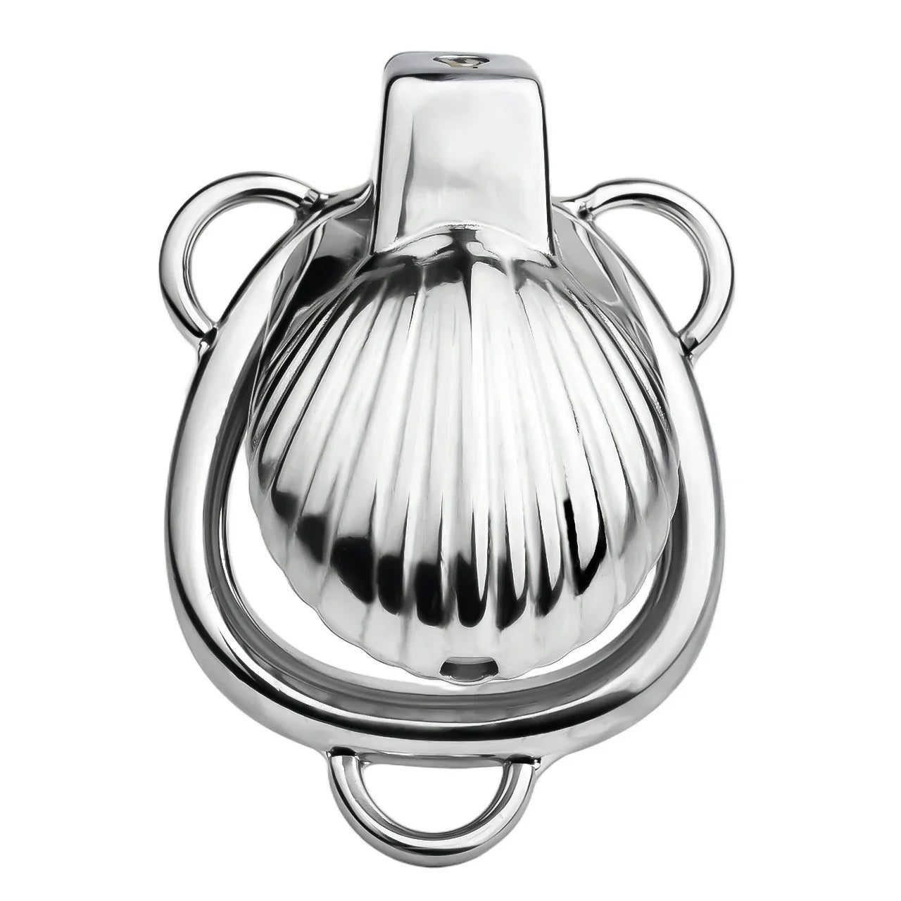 FRRK Metal Seashell Shape Chastity Lock (Optional Ring Sizes)