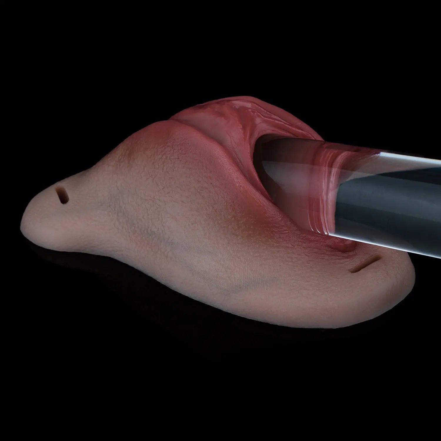 Realistic Wearable Silicone Vagina - Trans Sex Toy