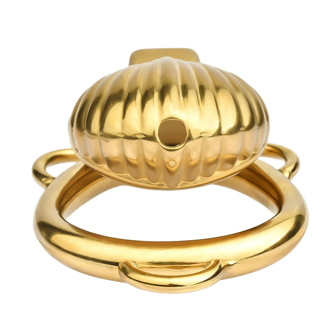 FRRK Metal Seashell Shape Chastity Lock (Optional Ring Sizes)